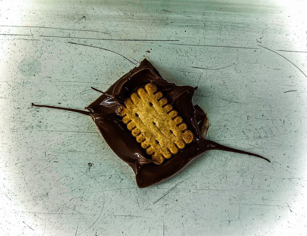 Photograph by Alex Rionir