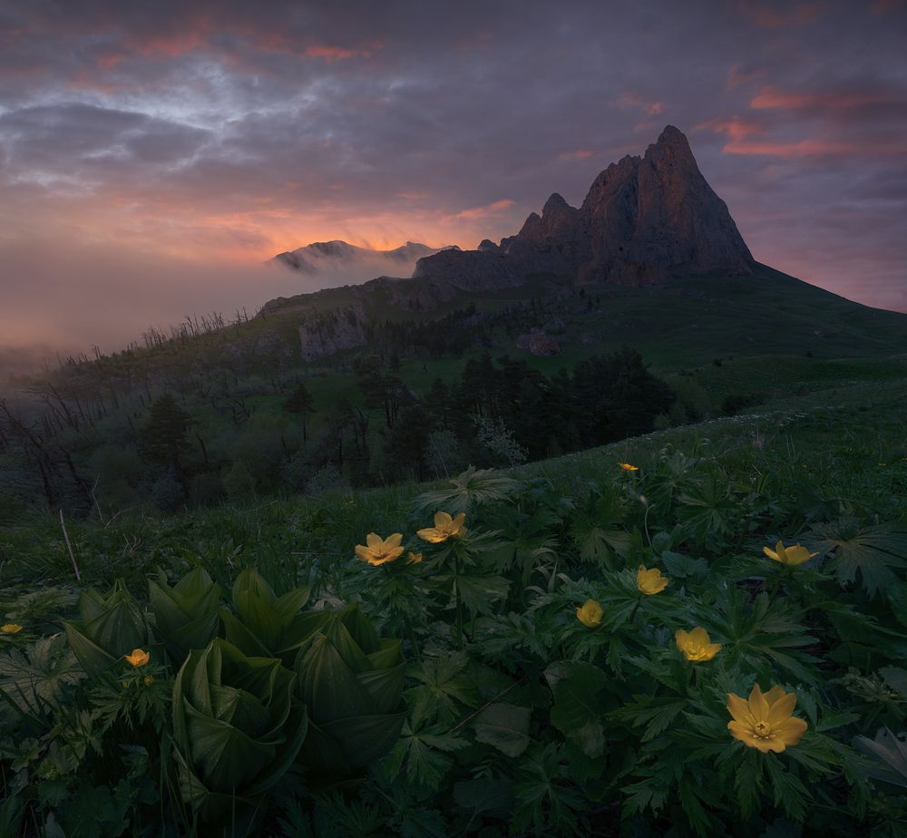 Photograph by Александр Дударев