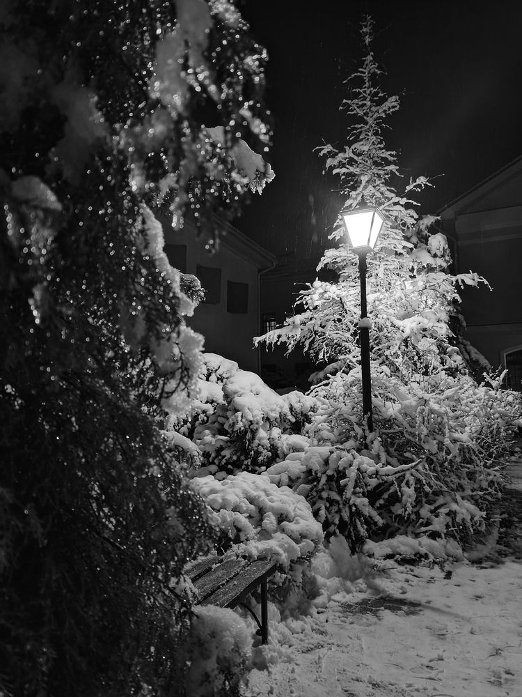 Photograph by Юлия Ю.