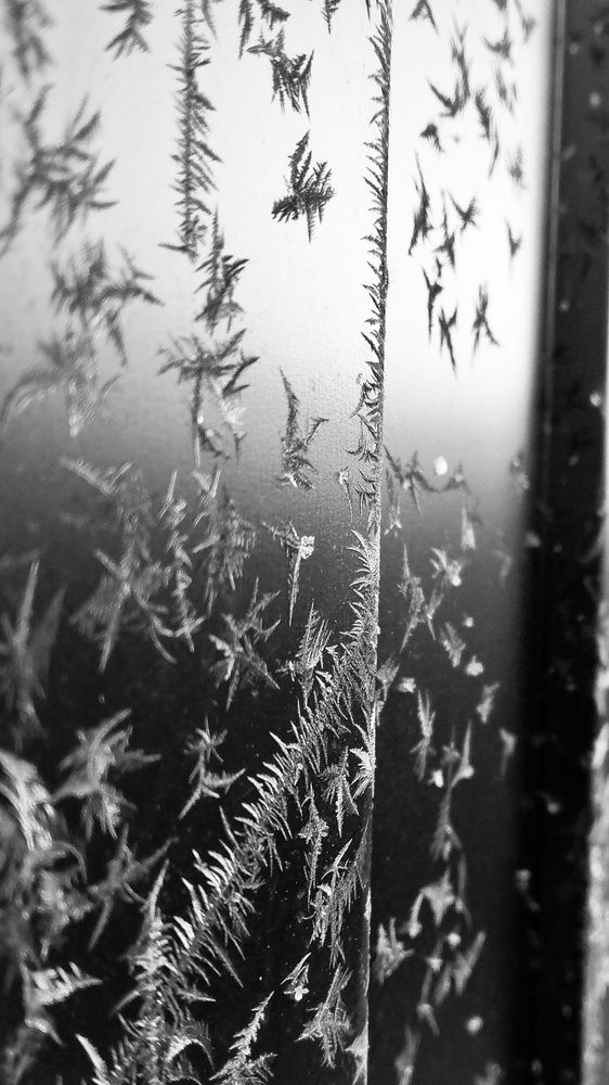 Photograph by Петр Поспелов