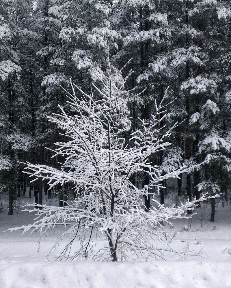 Photograph by Петр Поспелов