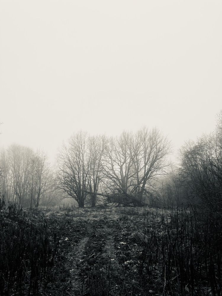 Фотография автора Алина Павлова