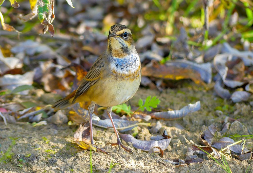 Photograph by Ян Адамсон