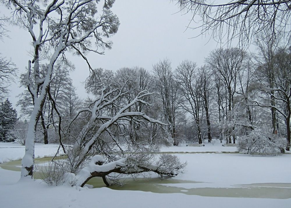 Елагин остров.