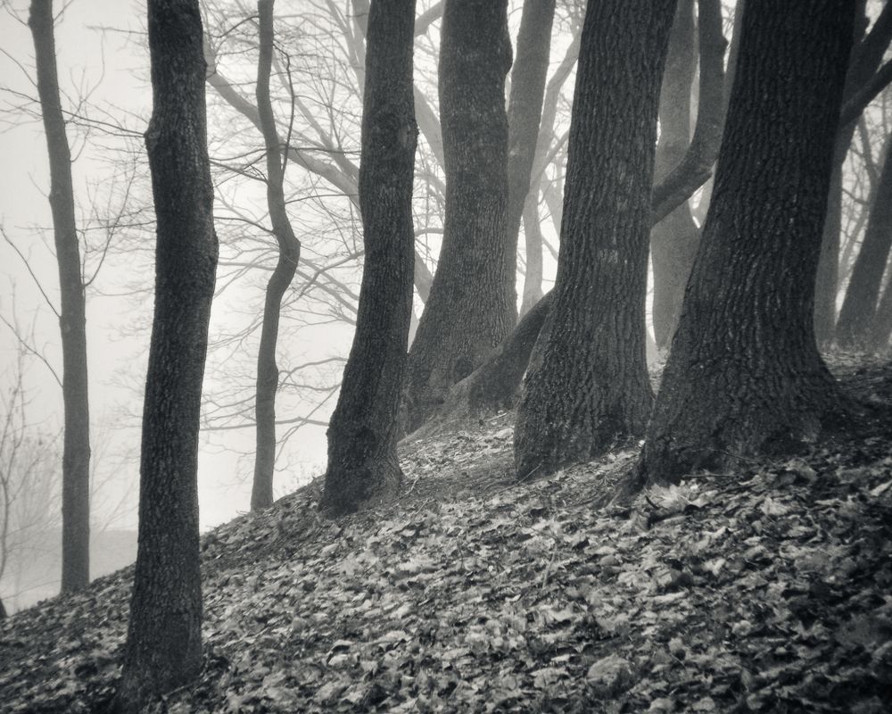 Photograph by Aliaksei Shandalin