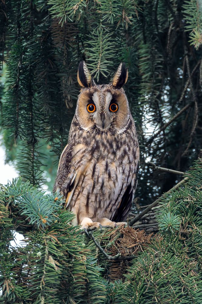 Photograph by Вера Машина