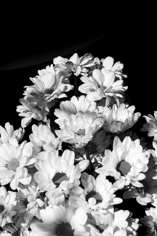 Photograph by Остапенко Алина