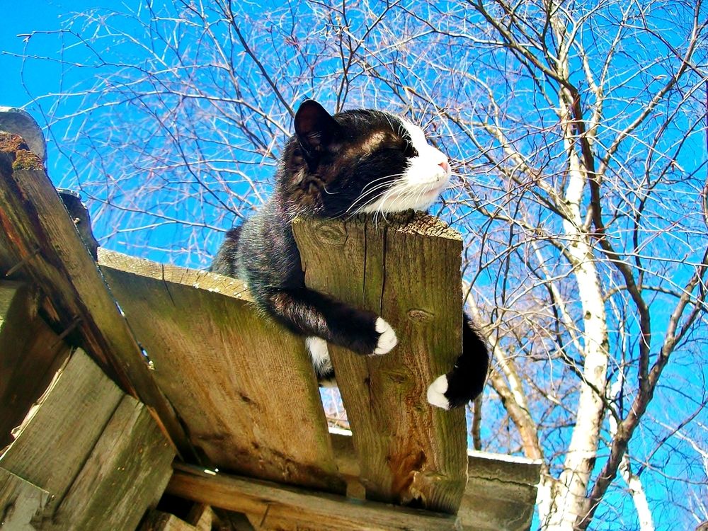 Photograph by Евгения Роде