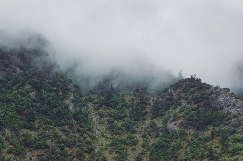 Photograph by JEVGENIJS TRETJAKOVS