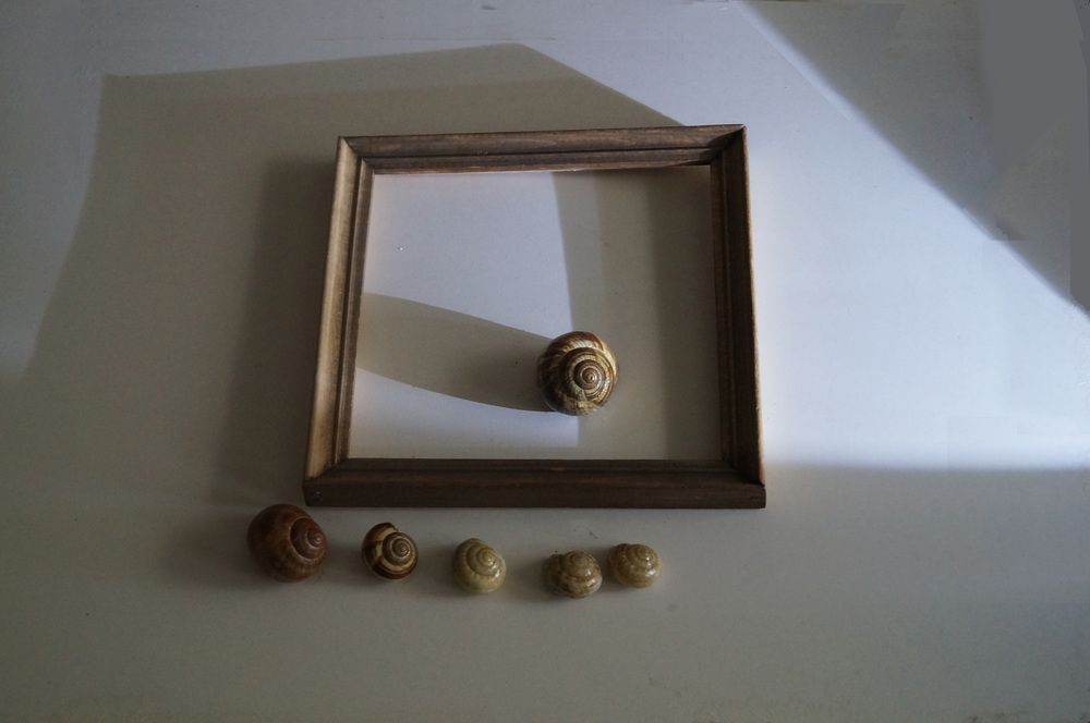 Фотография автора Penka Berberova