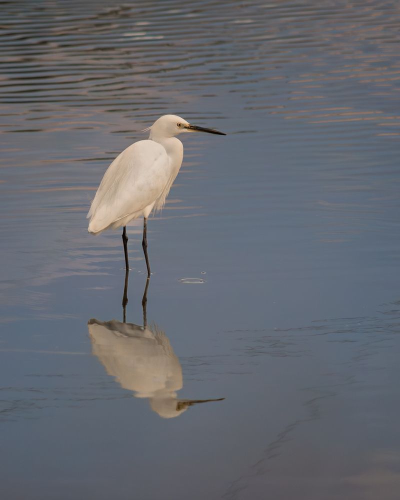 Photograph by Марина Ческис