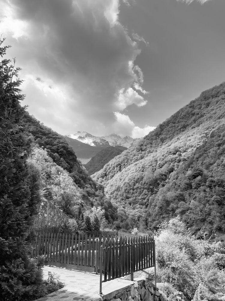 Photograph by Белла