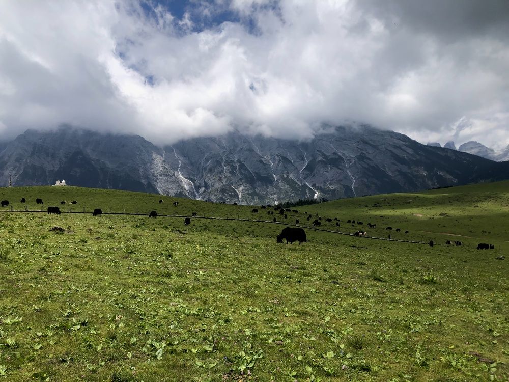 Photograph by Юлия Аксенчук