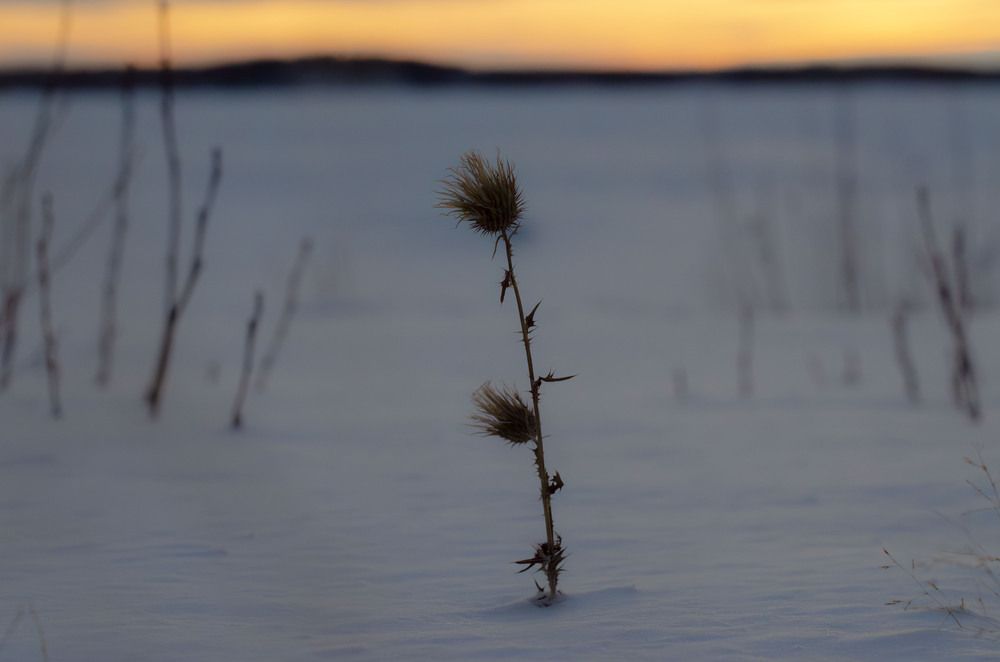 Photograph by Светлана Кудянова