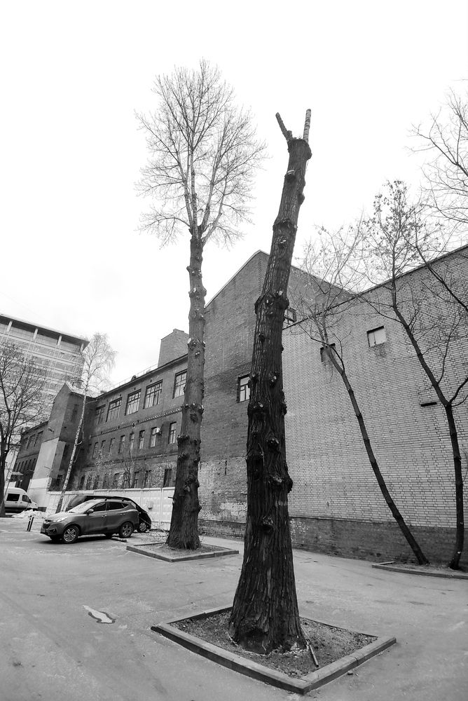 Москва, февраль 2025