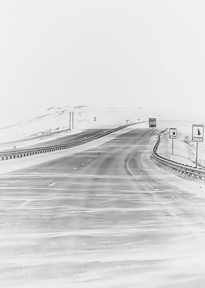 Дорога домой