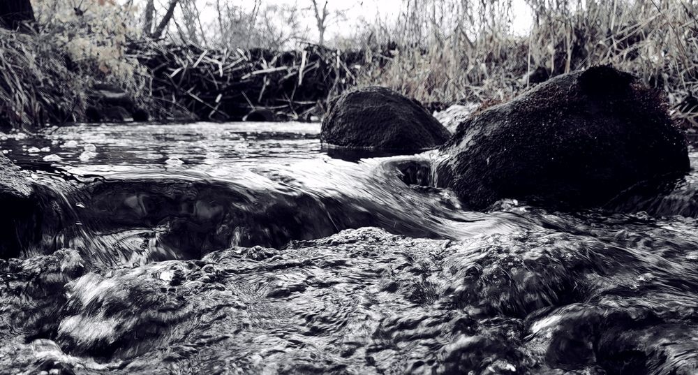 Photograph by Сергей