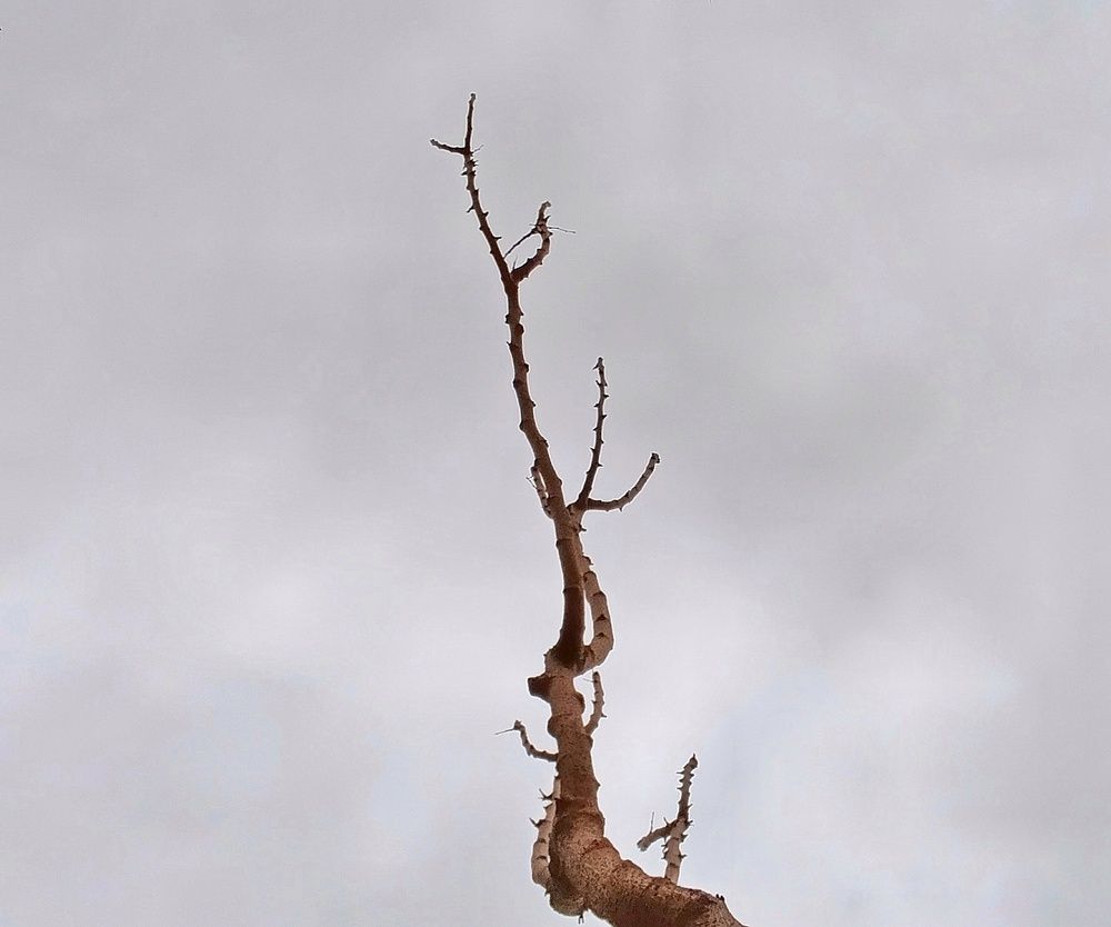 Фотография автора Mahdi Mohammadi