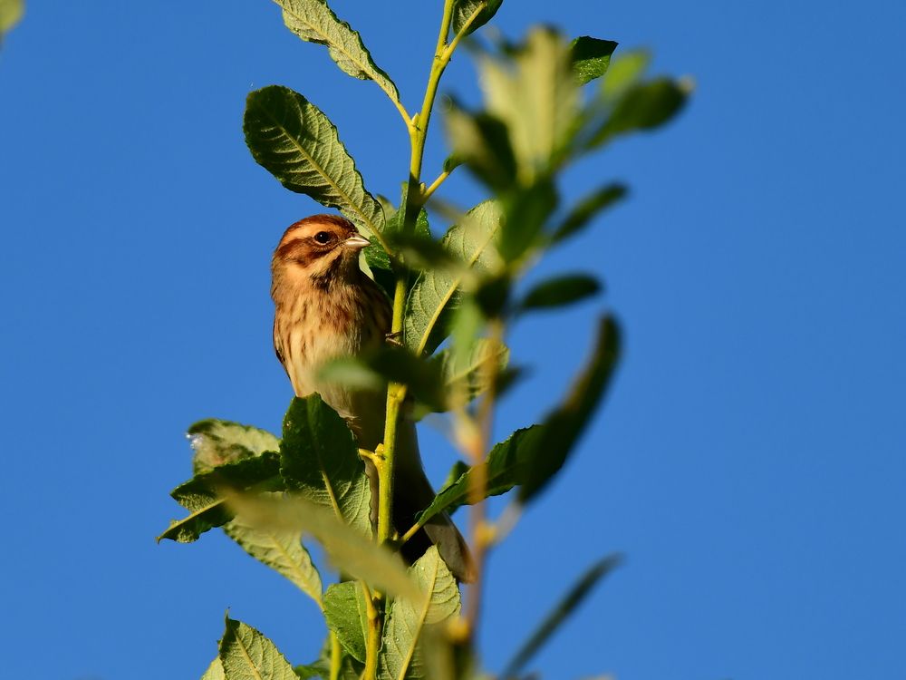 Photograph by Николай Абакумов