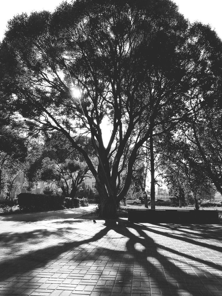 Photograph by Лилия Мустафина