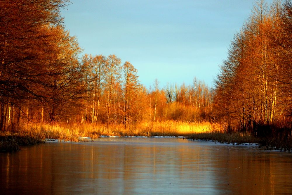 Photograph by 