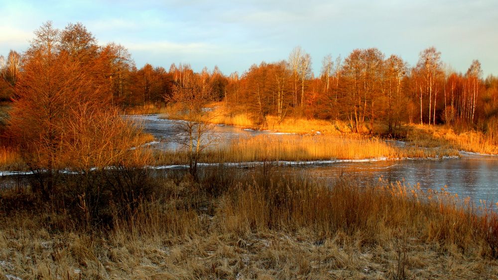 Фотография автора Алексей Макаров