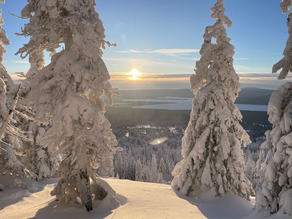 Photograph by Юлия Кондратьева