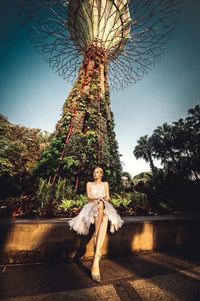 Flowers of Singapore