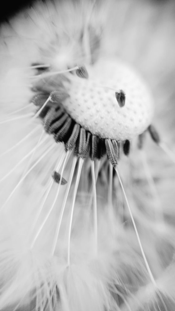 Photograph by Дарья Домбровская