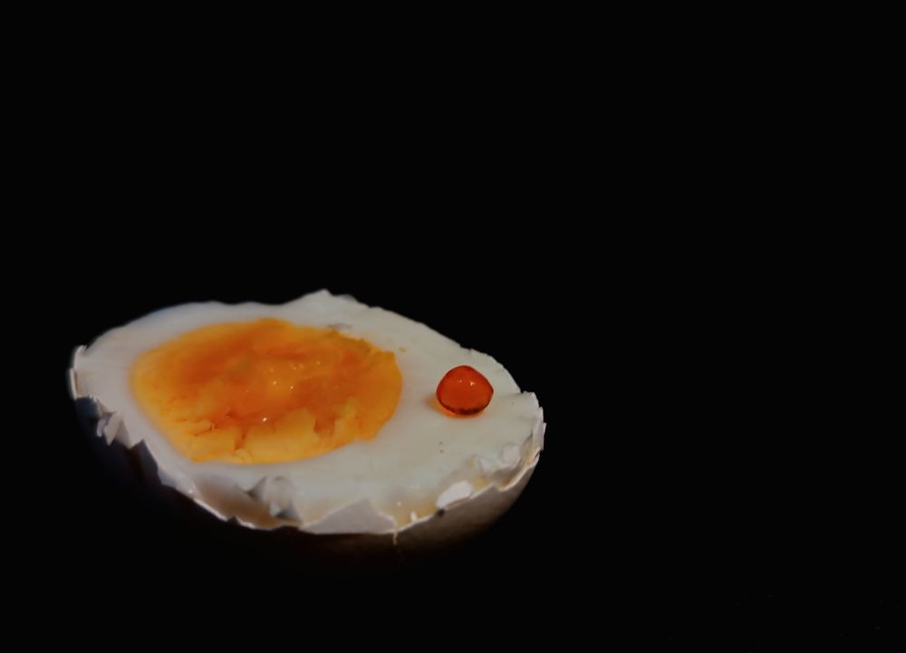 Photograph by Olga Kot