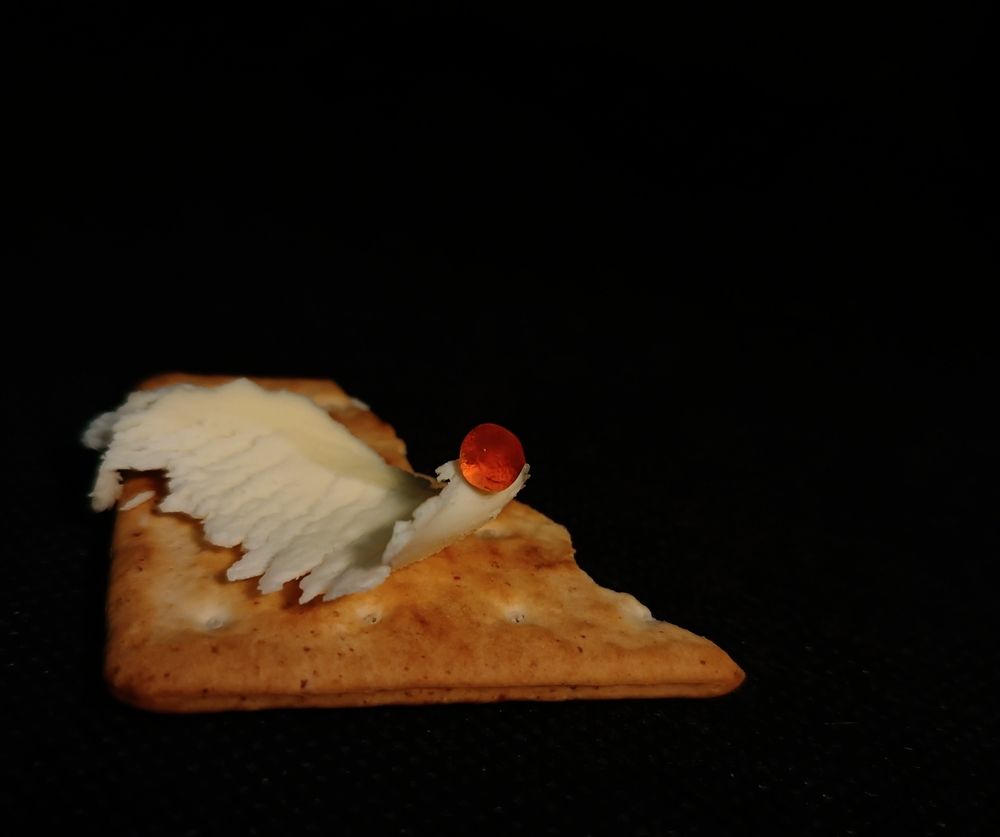 Photograph by Olga Kot