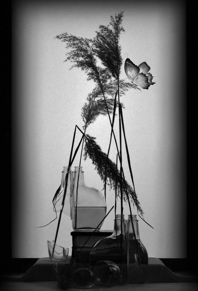 Photograph by Александр Зарх