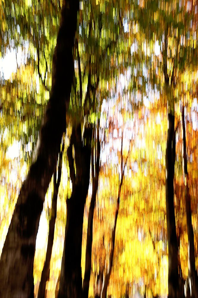 Photograph by Reyhane ajorloo