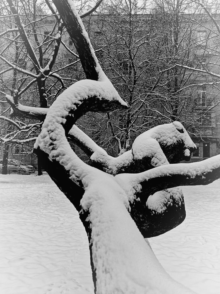 Photograph by Olga Kot