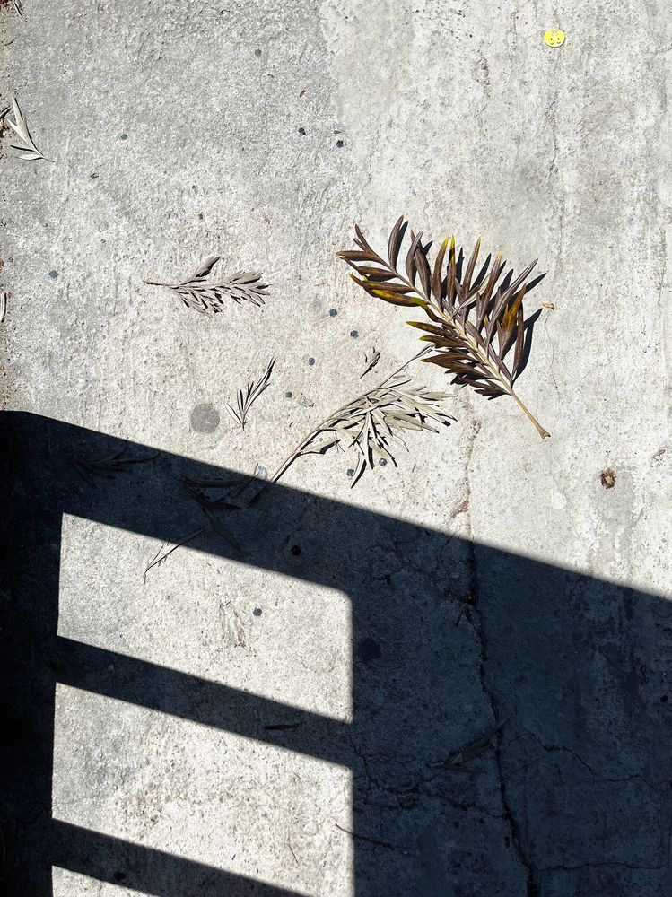 Photograph by Балахонова Галина