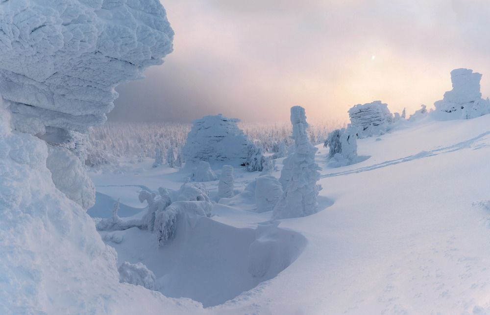 Photograph by Ольга Крицак