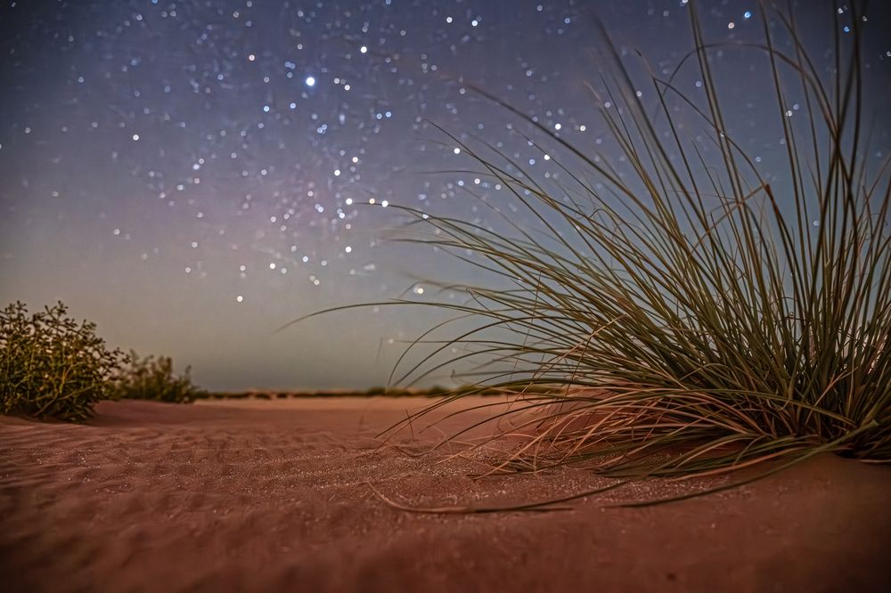 Photograph by Omnia Elshabrawy