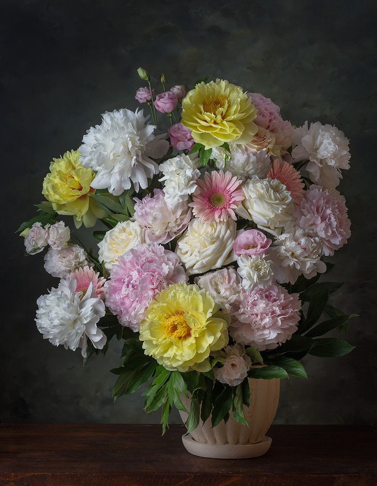 Фотография автора Алина Ланкина