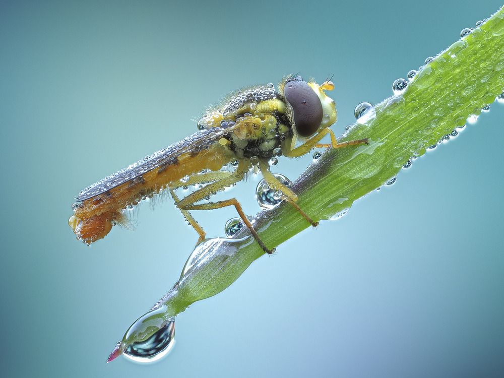 Photograph by Лукашук Евгений