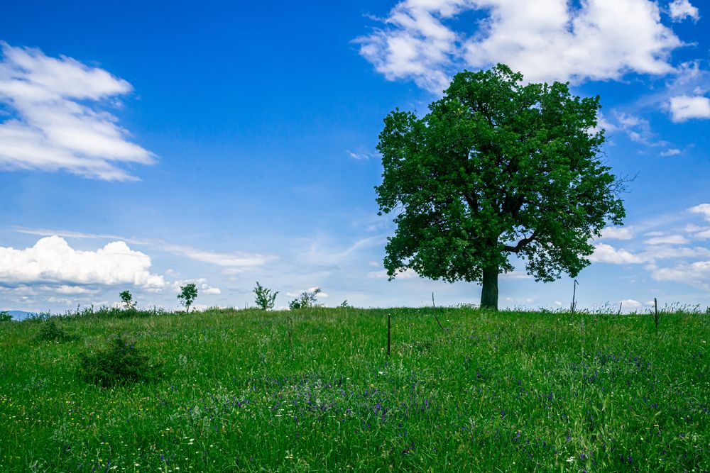 Photograph by Колев Христо