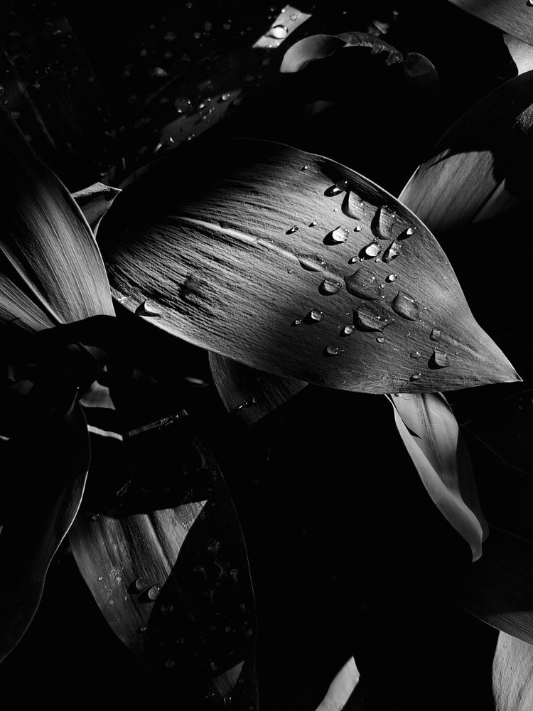 Photograph by Екатерина Жи