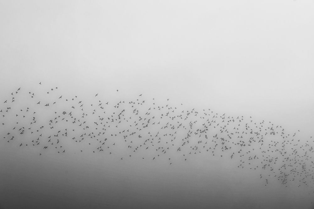 Photograph by Вербицкий Петр