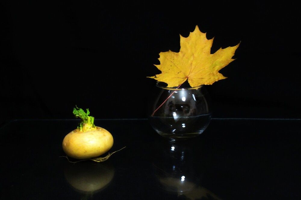 Photograph by Ольга Березовская