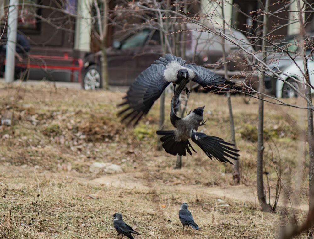 Фотография автора Юрий Володин