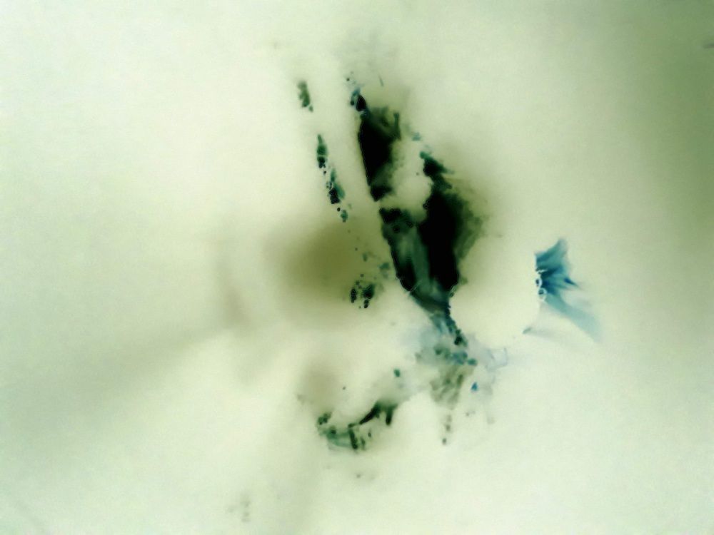 Photograph by María Claudia Salcedo