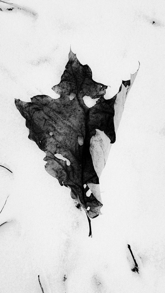 Photograph by Екатерина Горелик