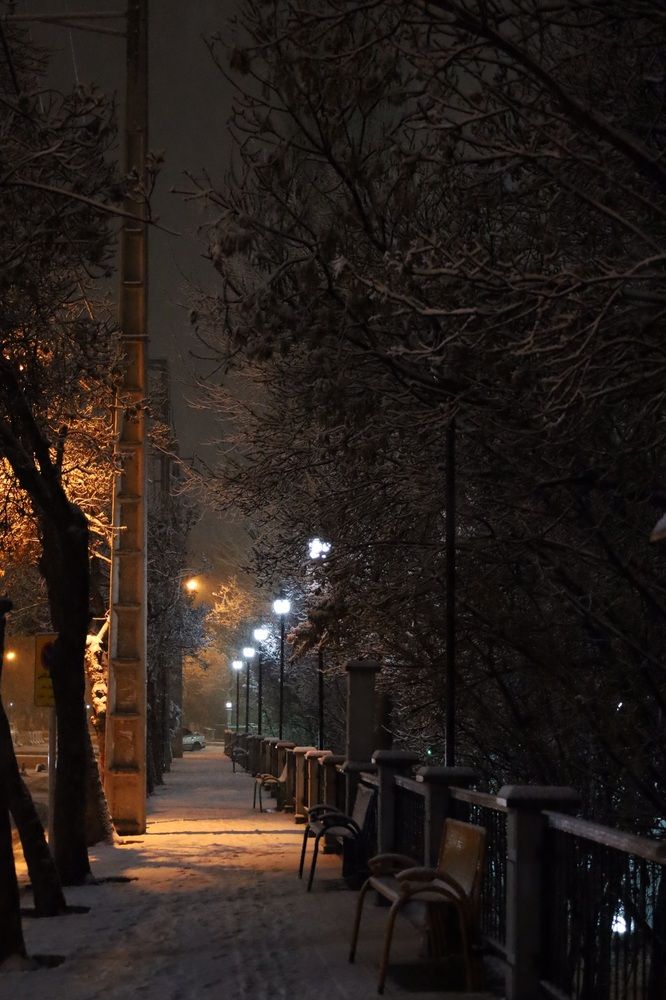 Фотография автора آرمان داودی