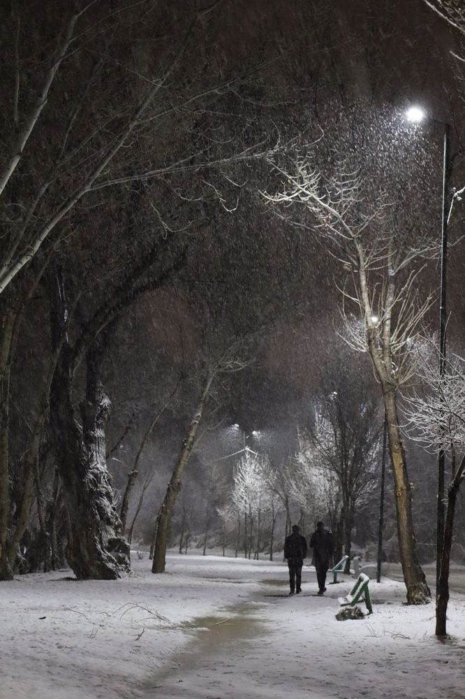 Фотография автора آرمان داودی