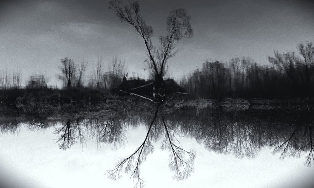 Photograph by Talking Cricket