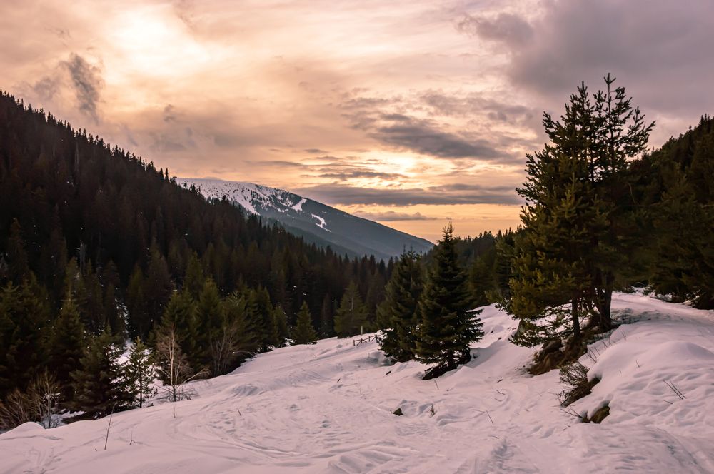 Photograph by Колев Христо